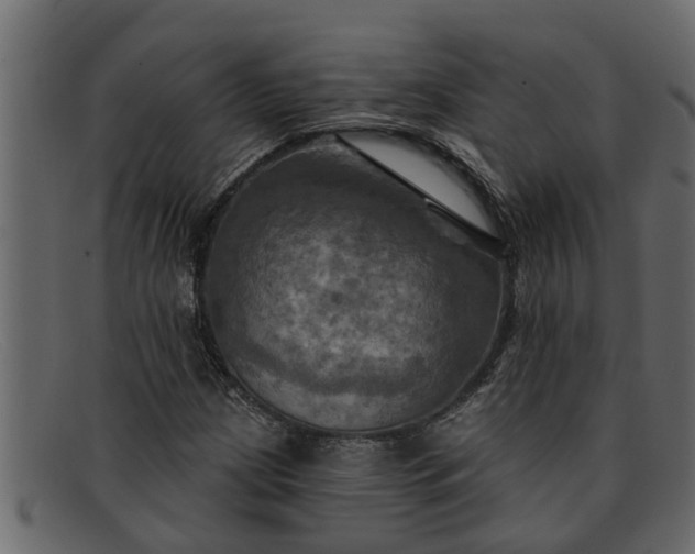 X0000091911209200709191313