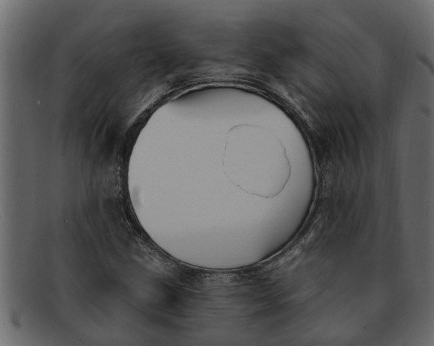 X0000091911211200709191313