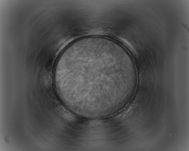 X0000091911212200709191313