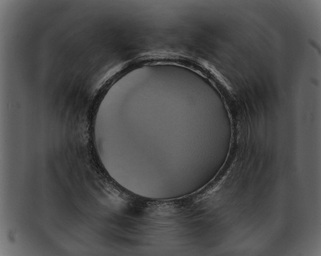 X0000091911213200709191313