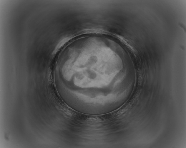 X0000091911215200709191313