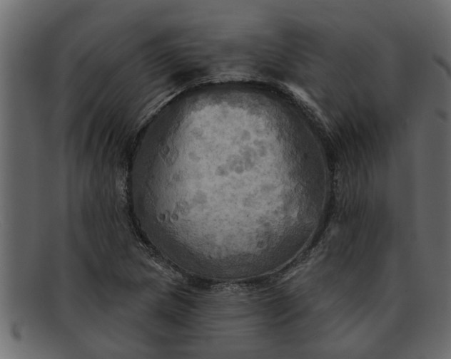 X0000091911217200709191313