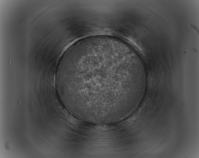 X0000091911220200709191313