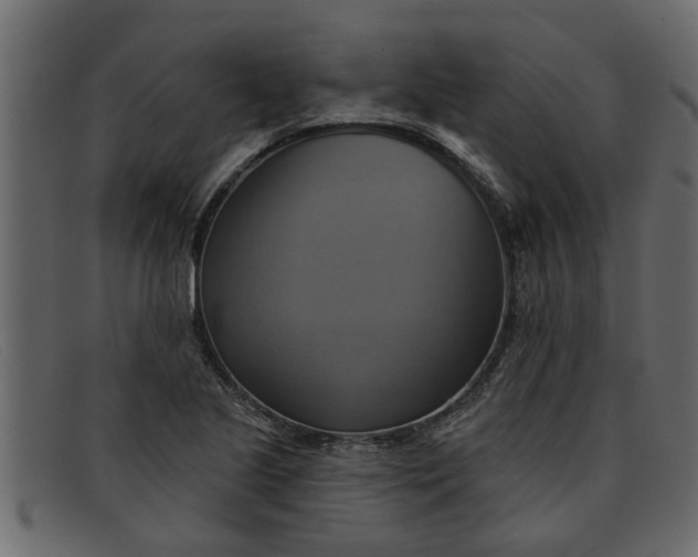 X0000091911221200709191313