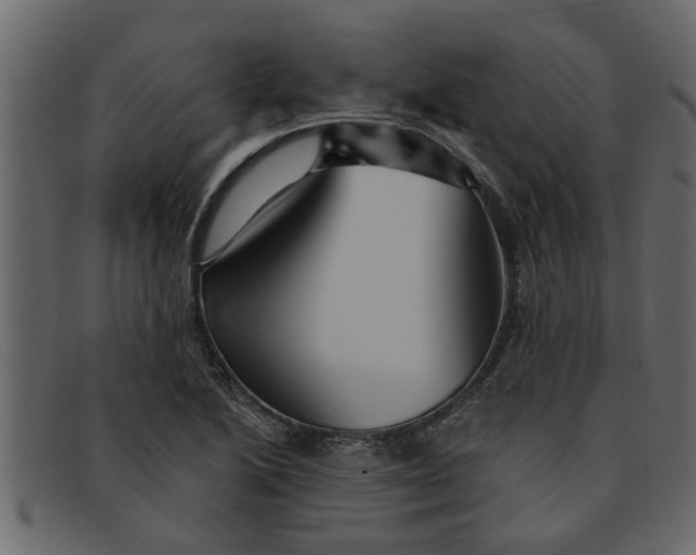 X0000091911222200709191313