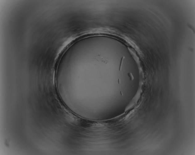 X0000091911224200709191313