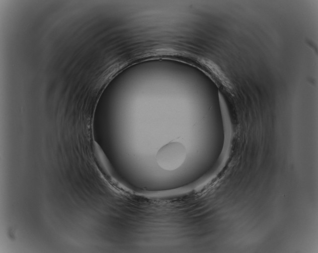 X0000091911225200709191313