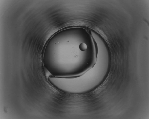 X0000091911226200709191313