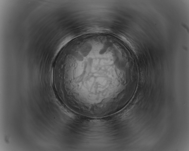 X0000091911227200709191313