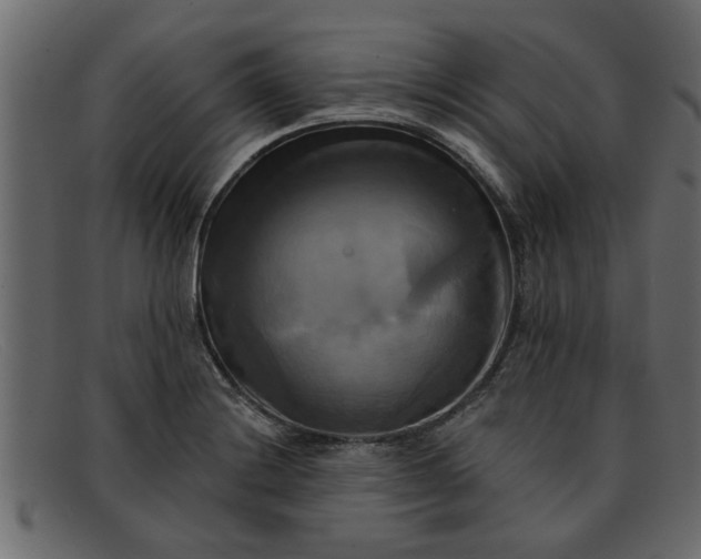 X0000091911228200709191313