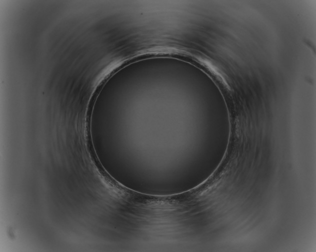 X0000091911229200709191314