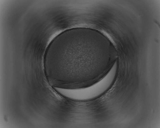 X0000091911230200709191314