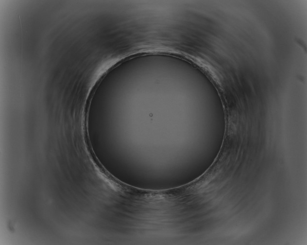 X0000091911231200709191314