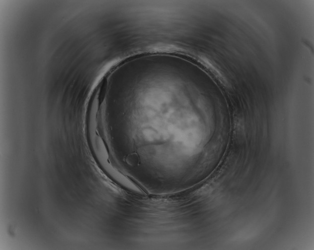 X0000091911232200709191314