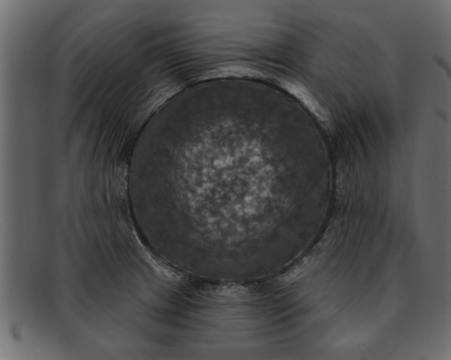 X0000091911233200709191314