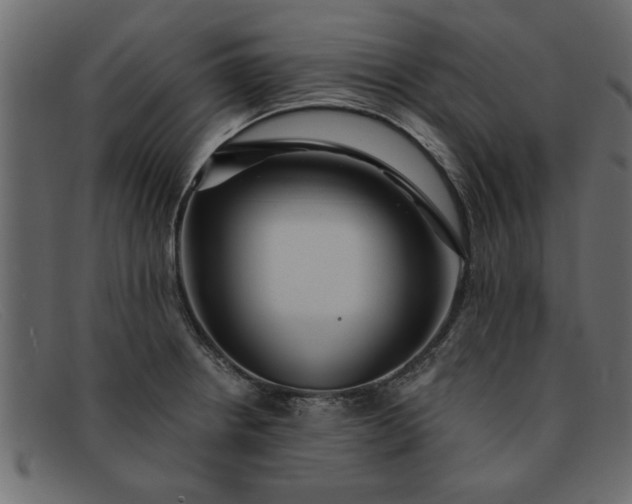 X0000091911234200709191314