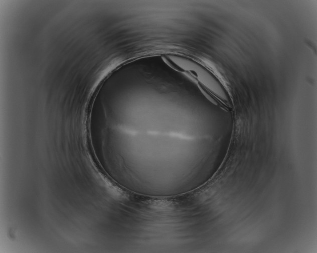 X0000091911235200709191314