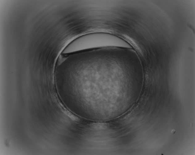 X0000091911236200709191314