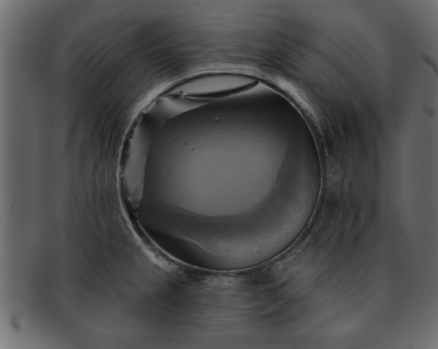 X0000091911237200709191314