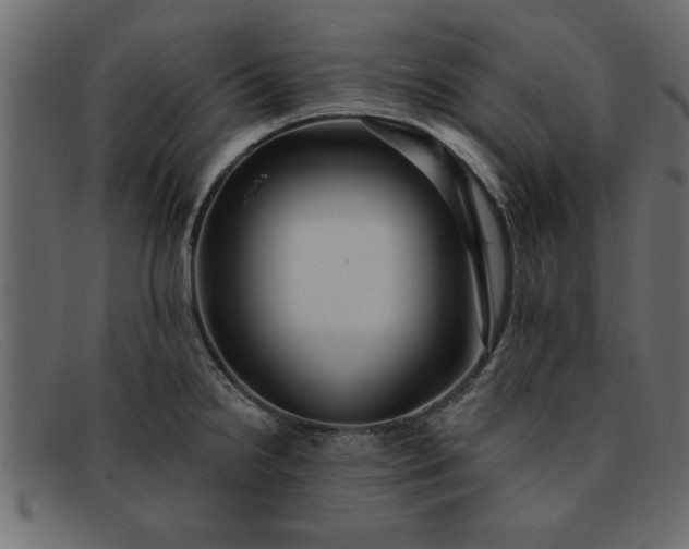 X0000091911238200709191314