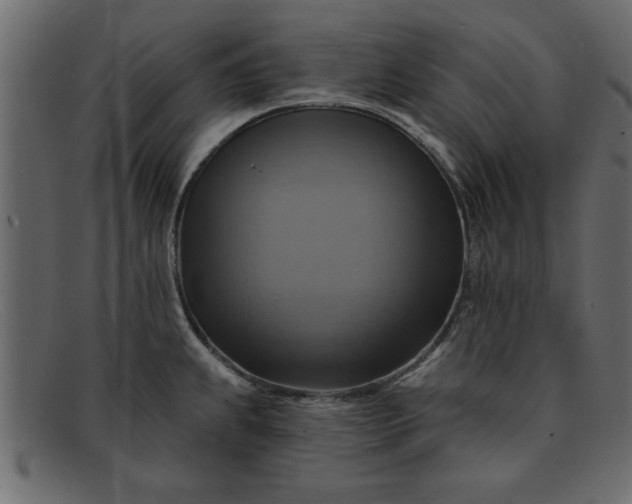 X0000091911239200709191314