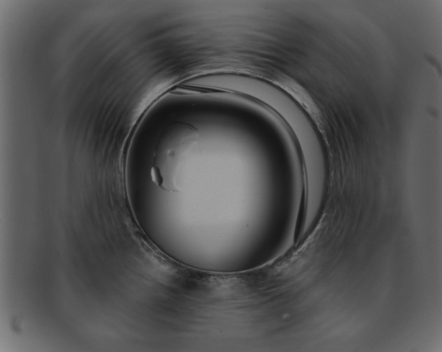 X0000091911242200709191314