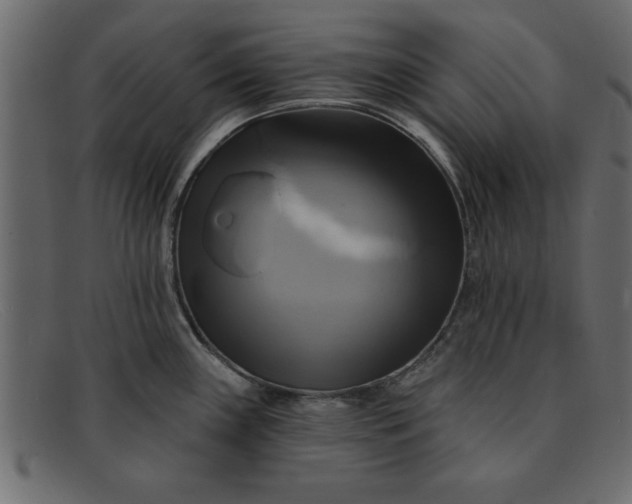 X0000091911243200709191314