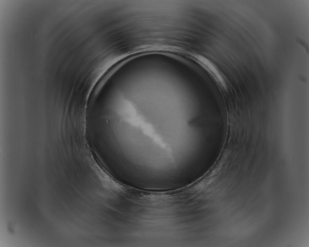 X0000091911244200709191314