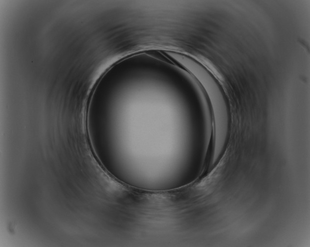 X0000091911246200709191314