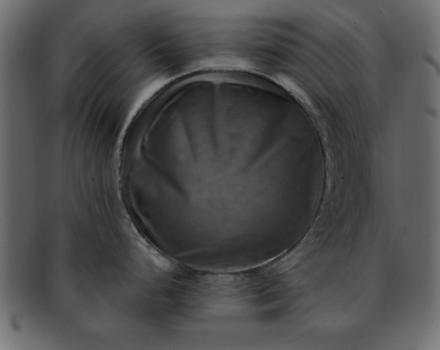 X0000091911248200709191314