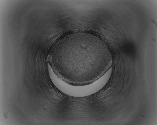 X0000091911250200709191313