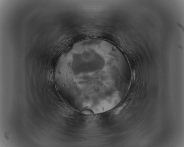 X0000091911251200709191313