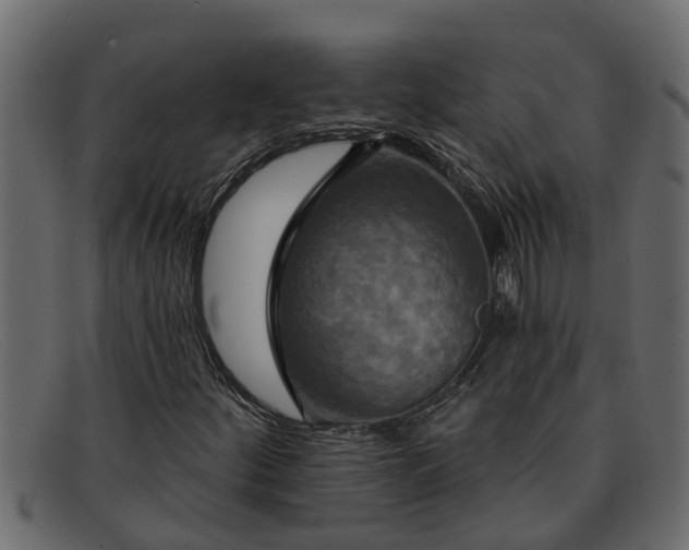 X0000091911252200709191313