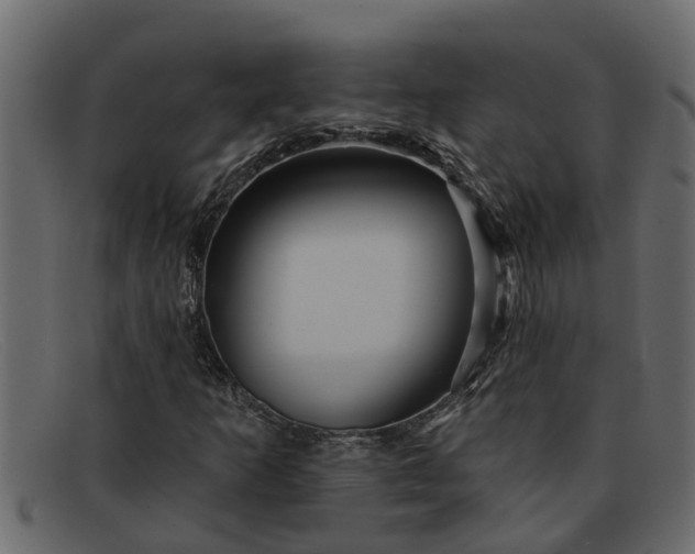 X0000091911253200709191313