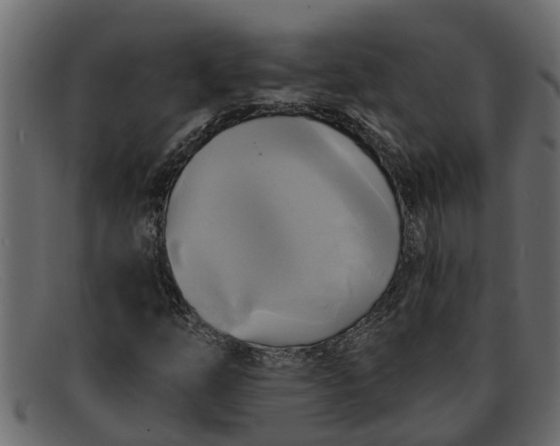 X0000091911254200709191313