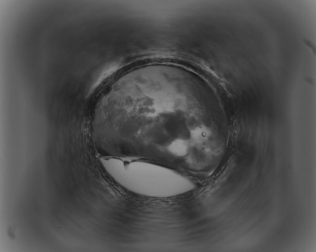 X0000091911255200709191313