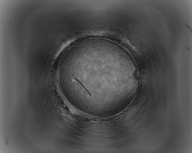 X0000091911256200709191313