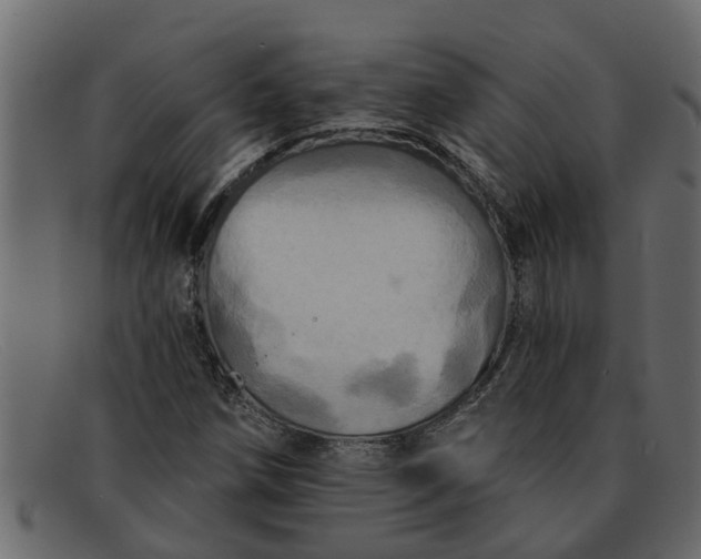 X0000091911258200709191313