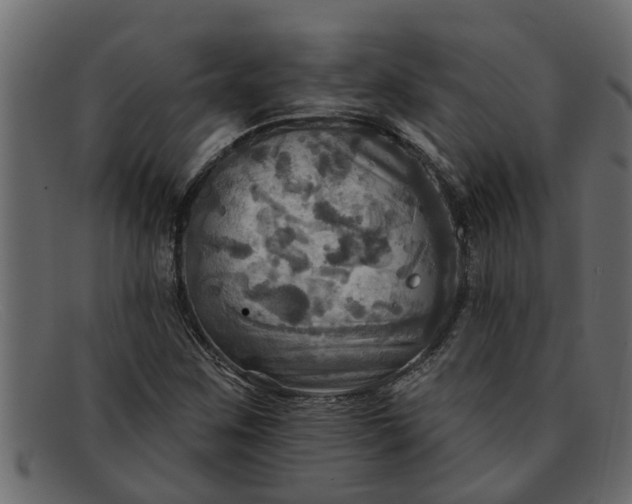 X0000091911259200709191313