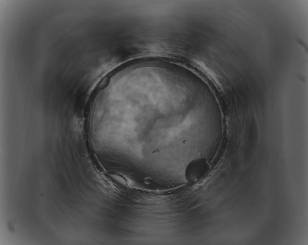 X0000091911260200709191313