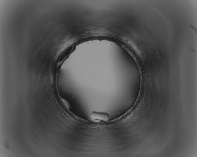 X0000091911261200709191313