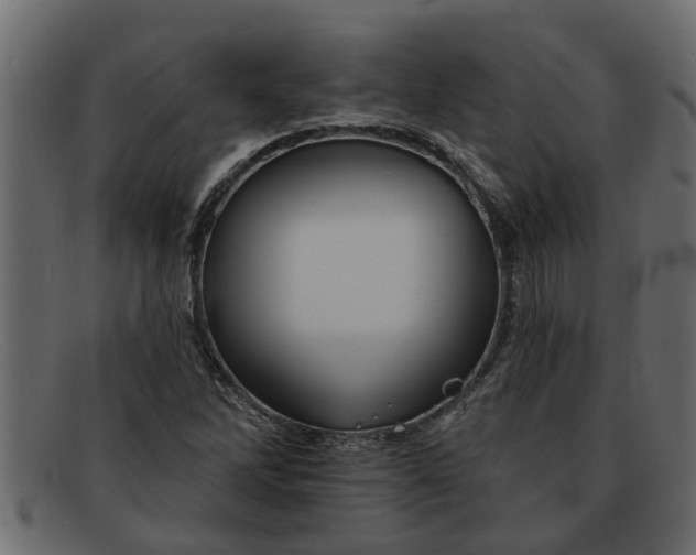 X0000091911262200709191313