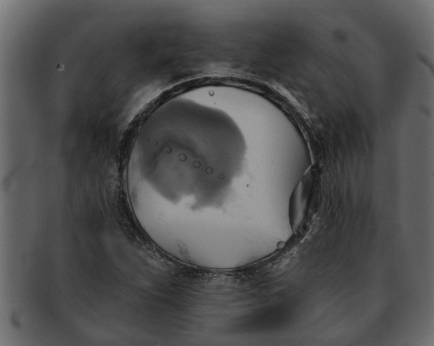 X0000091911263200709191313