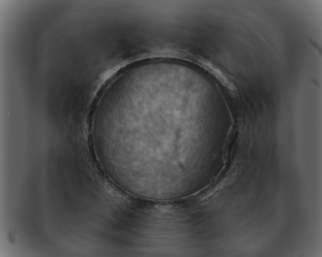 X0000091911264200709191313