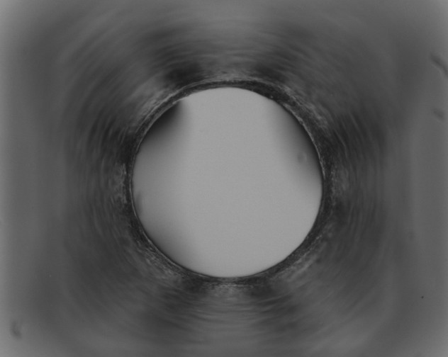 X0000091911265200709191313