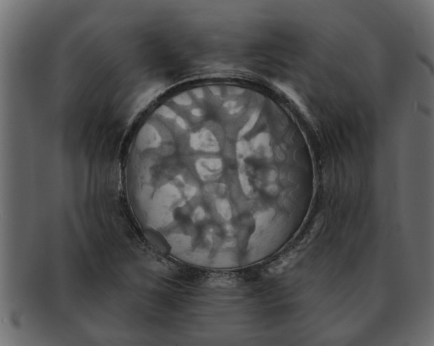 X0000091911267200709191313