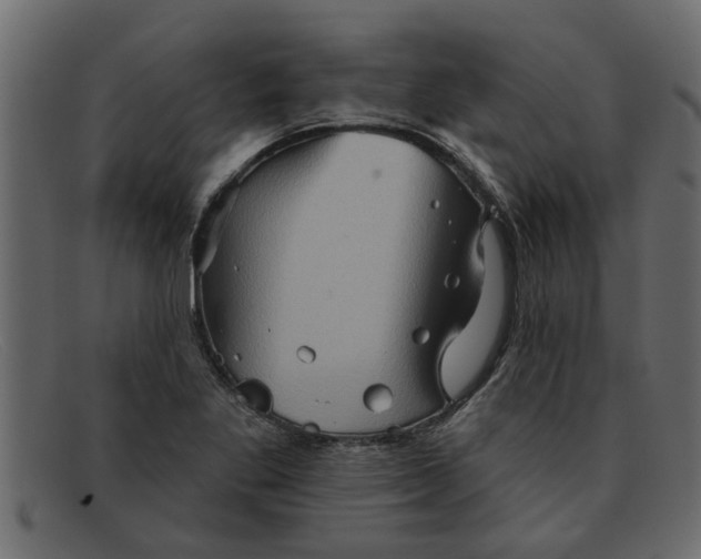 X0000091911269200709191313