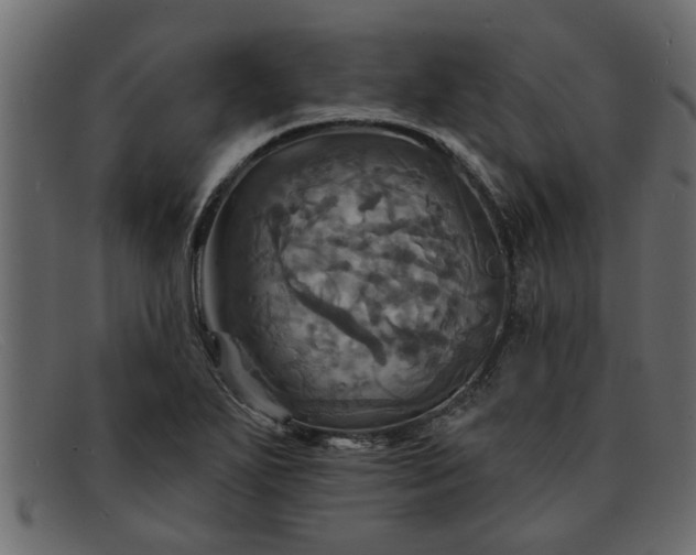 X0000091911271200709191313