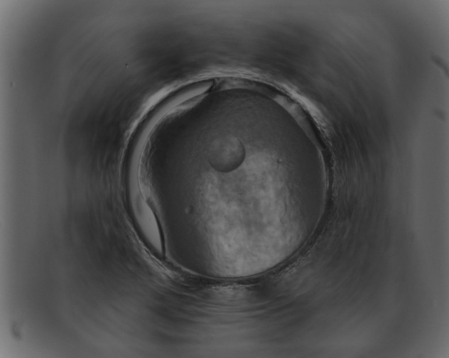 X0000091911272200709191313