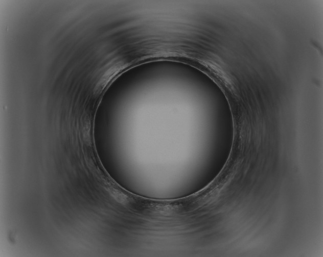 X0000091911273200709191313